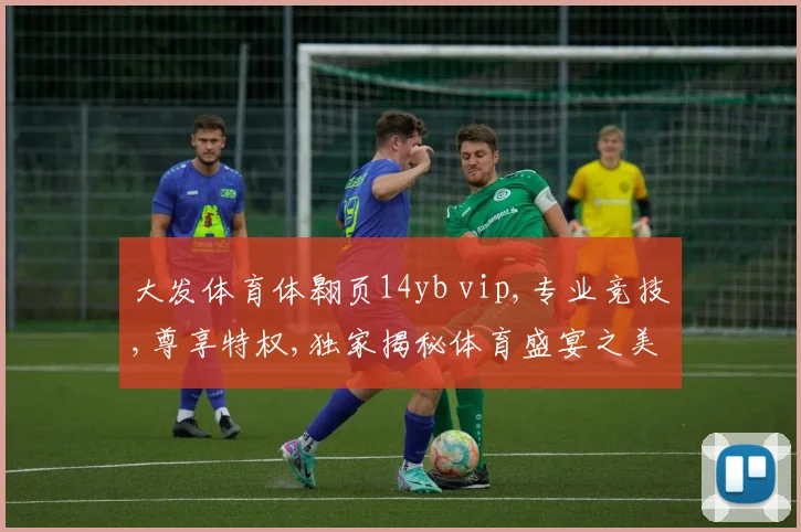 大发体育体翱页14yb vip,专业竞技,尊享特权,独家揭秘体育盛宴之美