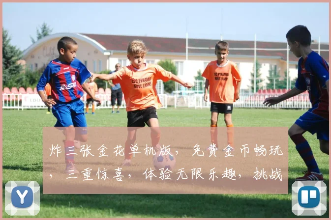 炸三张金花单机版，免费金币畅玩，三重惊喜，体验无限乐趣，挑战指尖巅峰