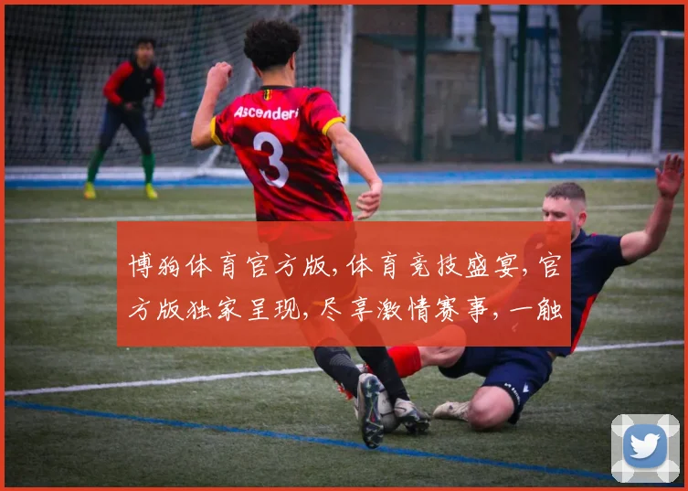 博狗体育官方版,体育竞技盛宴,官方版独家呈现,尽享激情赛事,一触即发