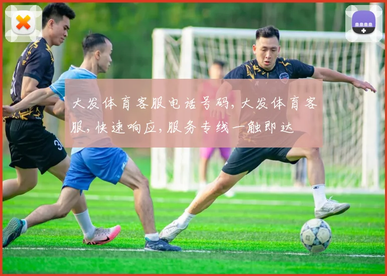 大发体育客服电话号码,大发体育客服,快速响应,服务专线一触即达